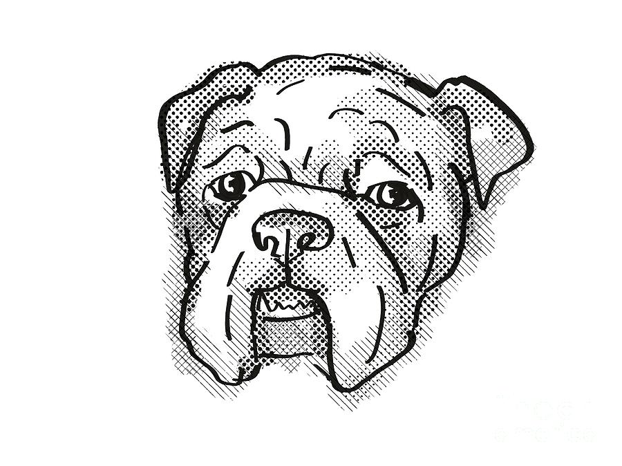 Bulldog Dog Breed Cartoon Retro Drawing Digital Art by Aloysius Patrimonio  - Pixels