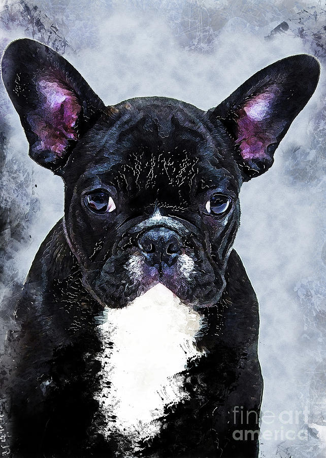 Bulldog Dog Digital Art