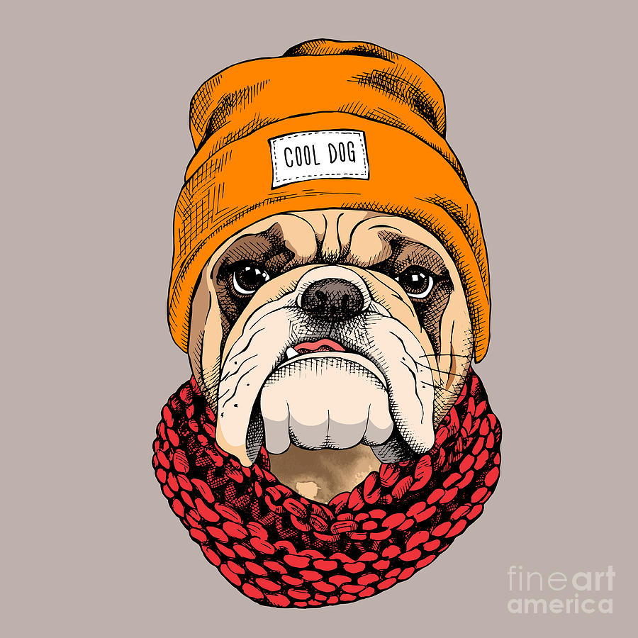 Wool Digital Art - Bulldog Portrait In A Hipster Hat by Afishka