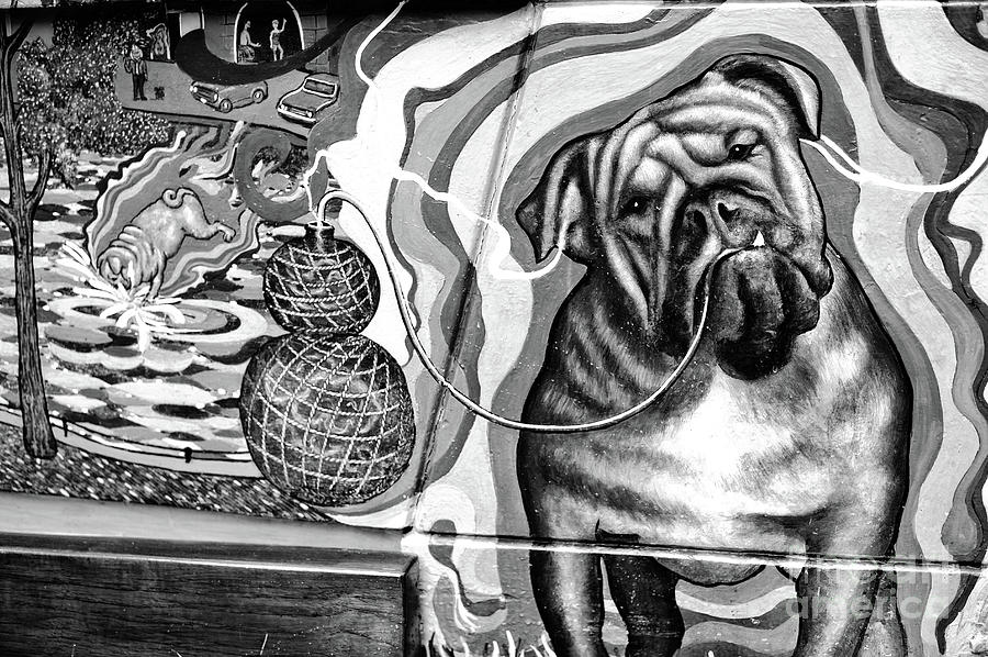 Bulldog Thoughts in Amsterdam Photograph by John Rizzuto