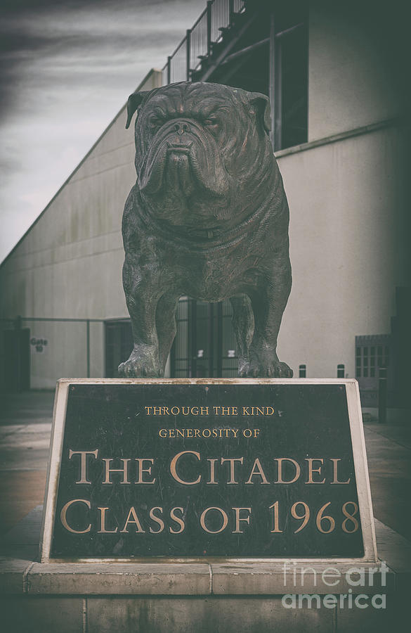 Bulldog Tough - Citadel Photograph by Dale Powell