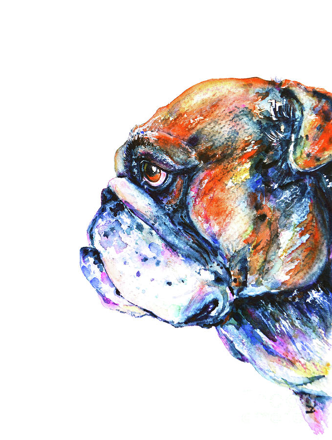 Dog Painting - Bulldog by Zaira Dzhaubaeva
