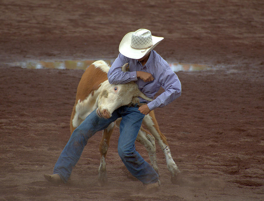 Bulldogging at the Panaewa Stampede Rodeo Photograph by Lori Seaman ...