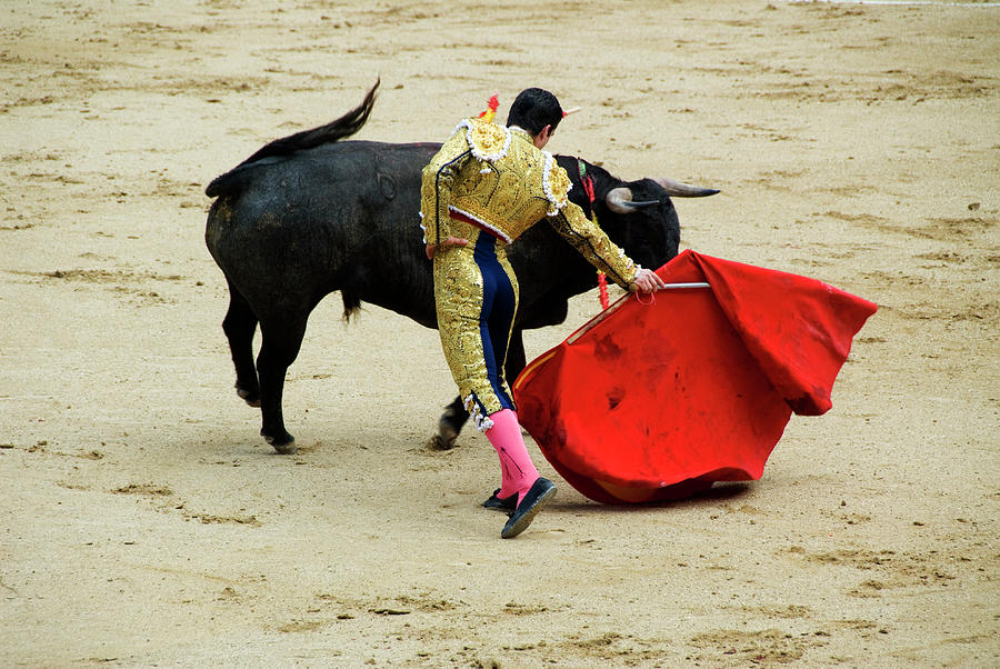 Bullfight At Plaza De Toros Monumental Photograph by Lonely Planet