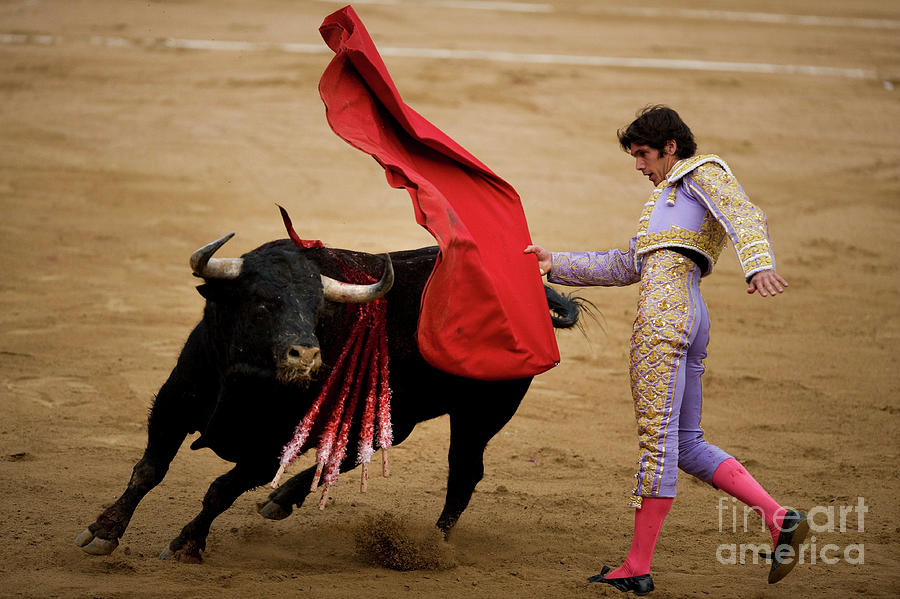 Bullfights In Barcelona 2011 Julian Photograph by David Ramos