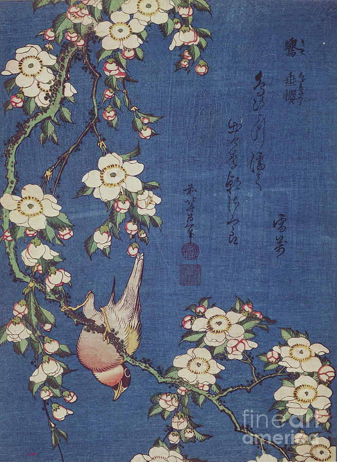 Katsushika Hokusai Painting - Bullfinch And Weeping Cherry-tree, Pub. C.1834 (colour Woodblock Print) by Katsushika Hokusai