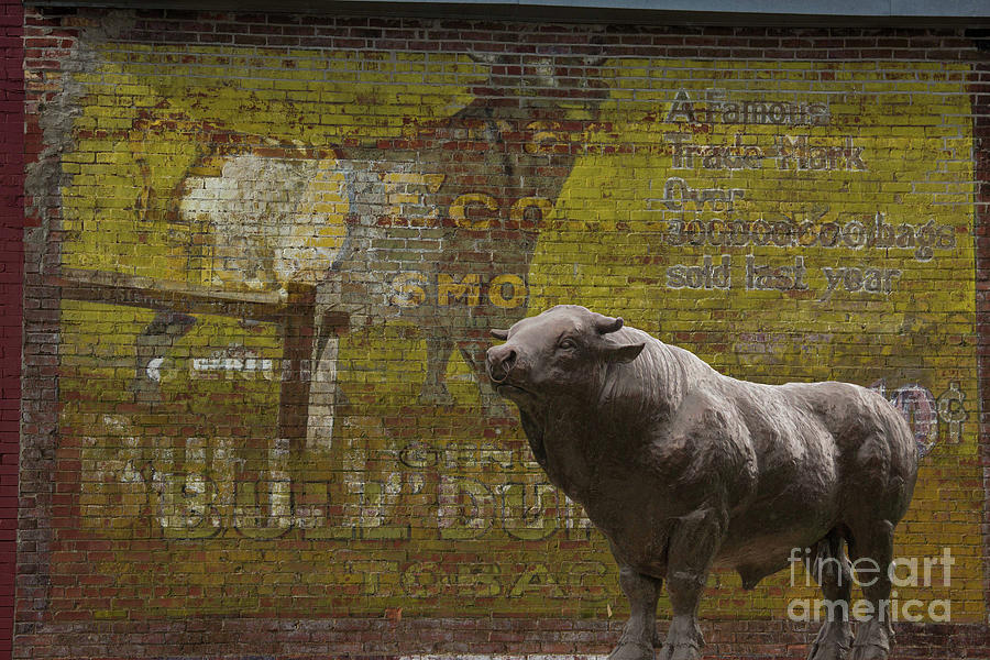 Bull Durham Photograph - Bullheaded by Jon Burch Photography