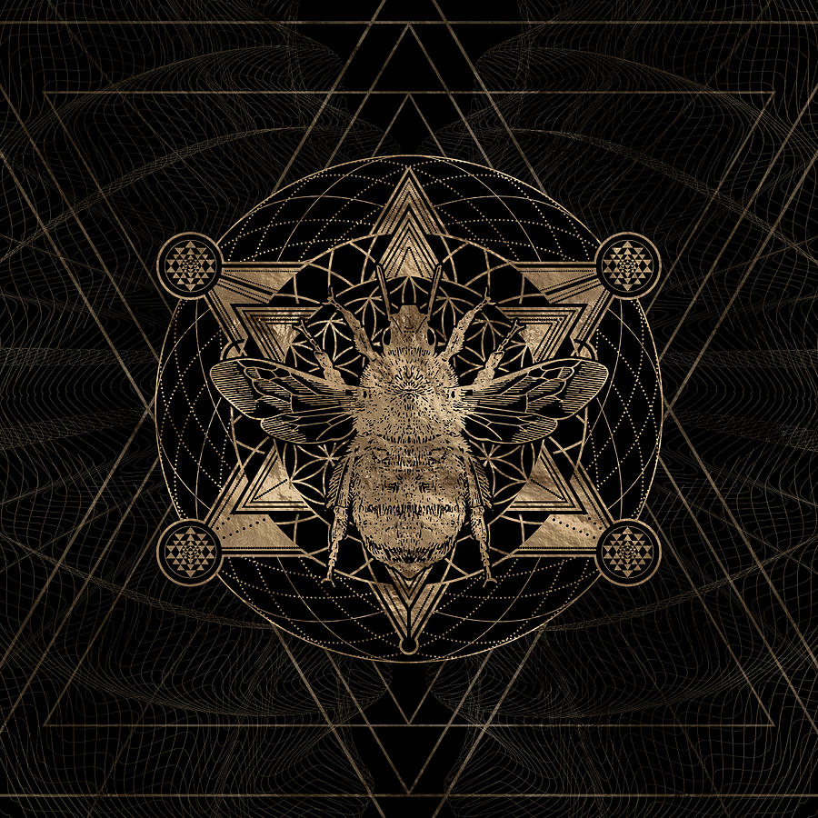 Bumble Bee In Sacred Geometry Black And Gold Digital Art By Lioudmila Perry