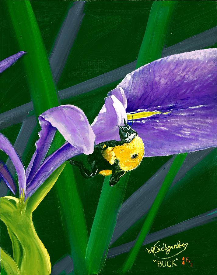 Bumblebee on Wild Florida Iris Painting by William Dickgraber
