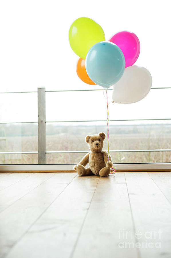 Bunch Of Balloons And Teddy Bear Photograph by Westend61