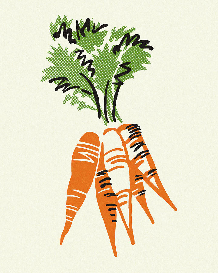 Carrot Drawing - Bunch of Carrots by CSA Images