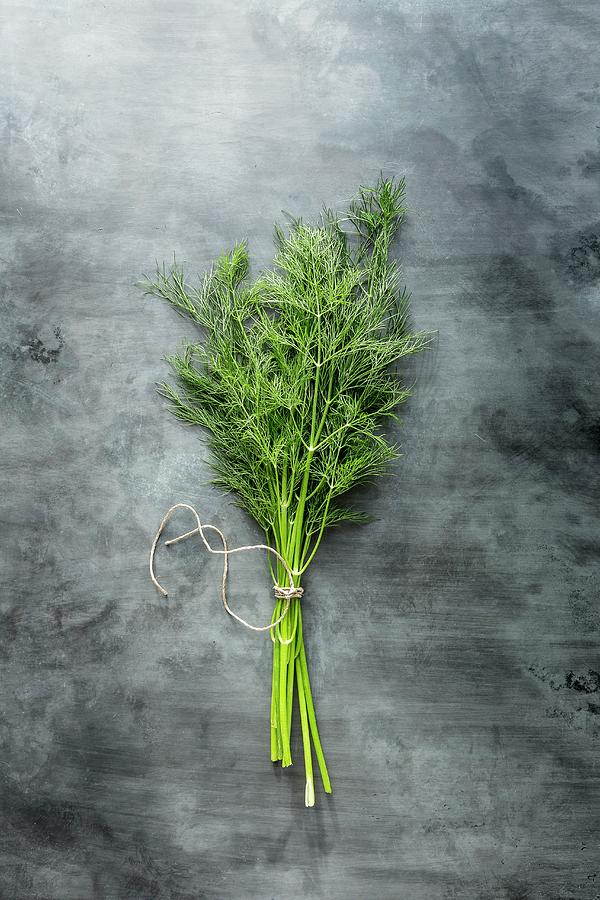 Bunch Of Dill Stems Tied With String On A Grey Stone Surface Photograph by Sarah Coghill