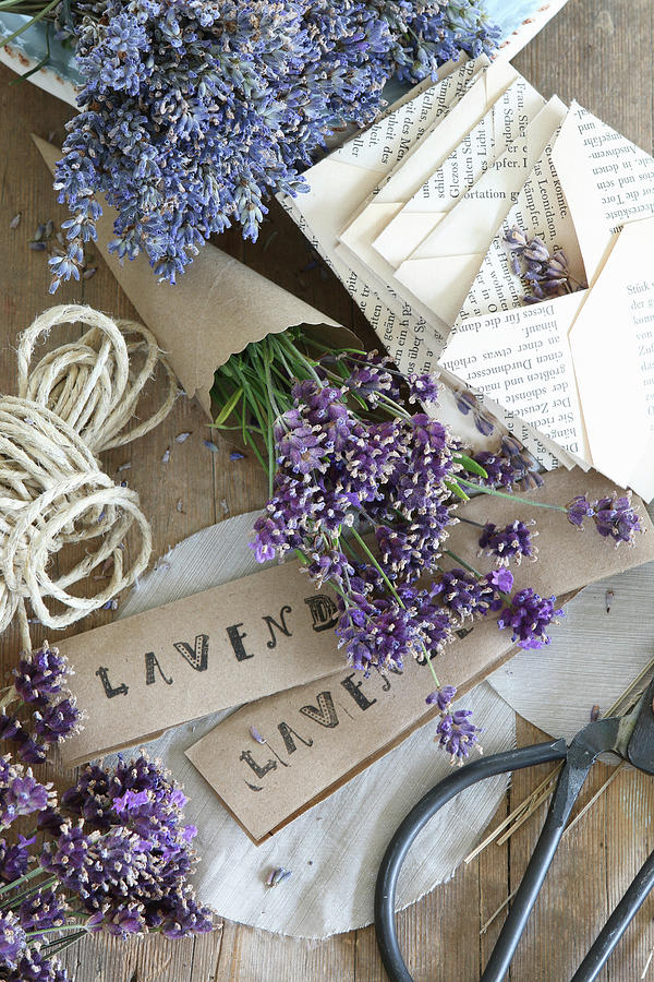 Bunch Of Lavender In Paper Cone, Folded Envelopes And Stamped Paper Signs Photograph by Regina Hippel