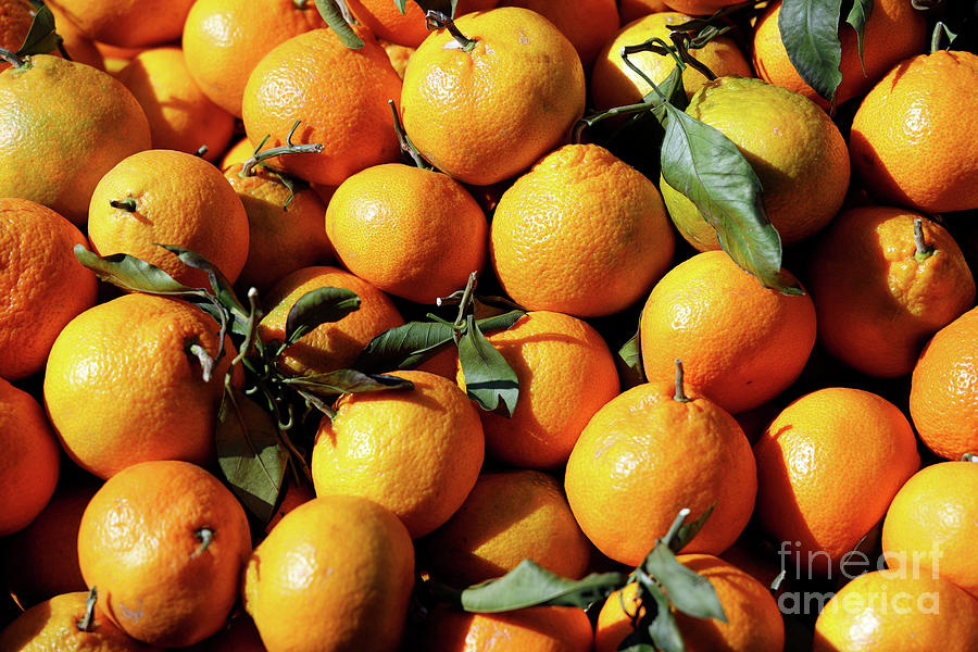 Bunch of oranges Photograph by George Atsametakis