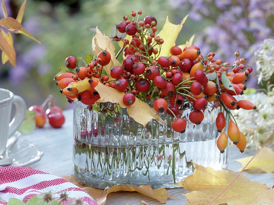 Bunch Of Rose Hips And Autumn Leaves In Glass Vase Photograph by Strauss, Friedrich