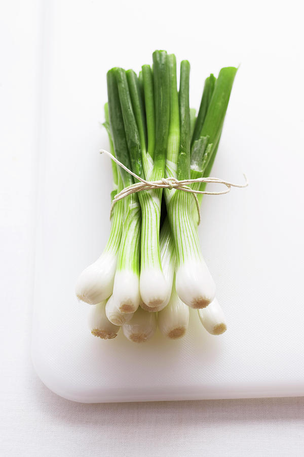 Bunch Of Spring Onions On White Photograph by Martin Poole Bunch Of Spring Onions On White Photograph by Martin Poole