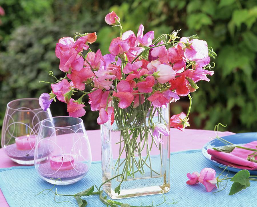 Bunch Of Sweet Peas In Square Vase And Windlights Photograph by Friedrich Strauss