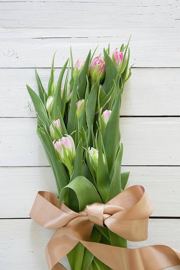 Bunch Of Tulips With Satin Bow On White Boards Photograph by Catja Vedder