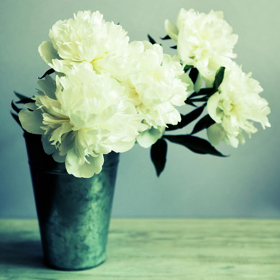 Still Life Photograph - Bunch Of White Peonies In Vase by Tom Quartermaine