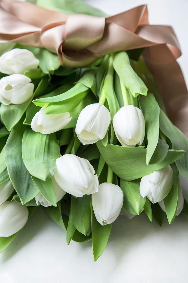 Bunch Of White Tulips With Brown Satin Ribbon Photograph by Catja Vedder
