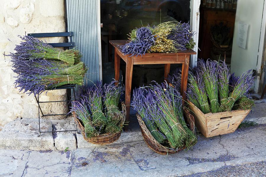 Bunches Of Lavender Outside The Entrance To A House Photograph by Peter Garten