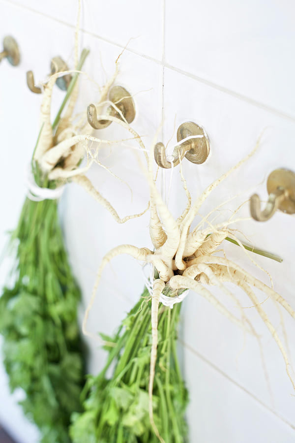 Bunches Of Parsley Hanging From Wall Hooks Photograph by Michal Mrowiec