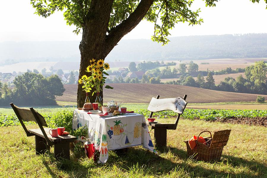 Bundt Cake On Table Set For Afternoon Coffee Under Apple Tree With View Of Landscape Photograph by Angela Francisca Endress