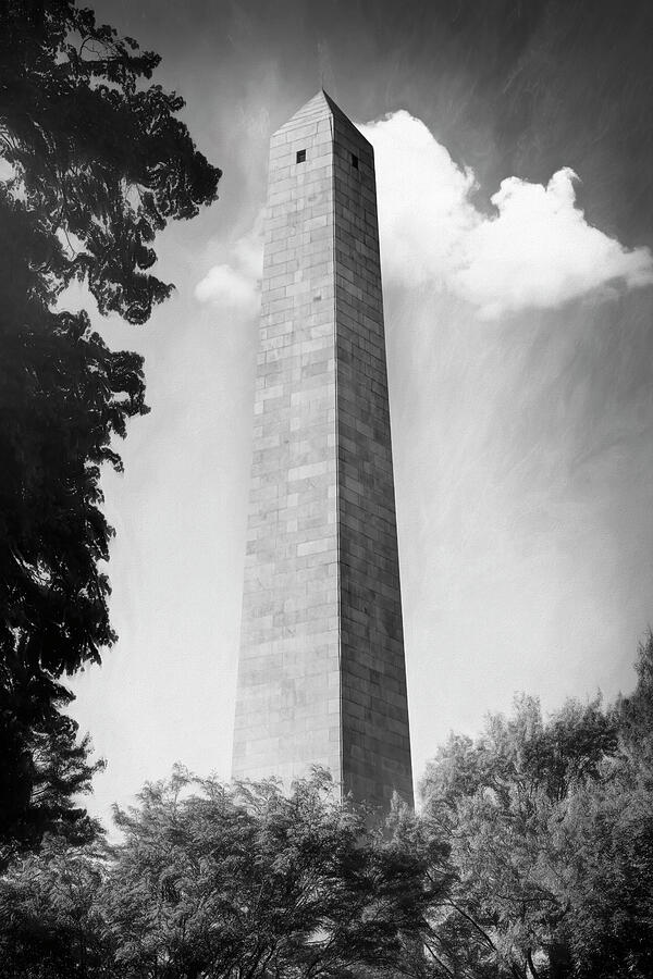 Bunker Hill Monument Boston Massachusetts Black and White  Photograph by Carol Japp