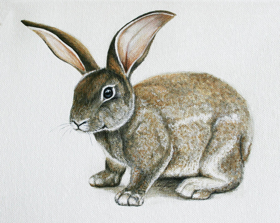Bunny 1 by Ann Lauwers Bunny 1 by Ann Lauwers