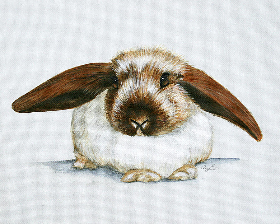 Bunny 3 by Ann Lauwers Bunny 3 by Ann Lauwers