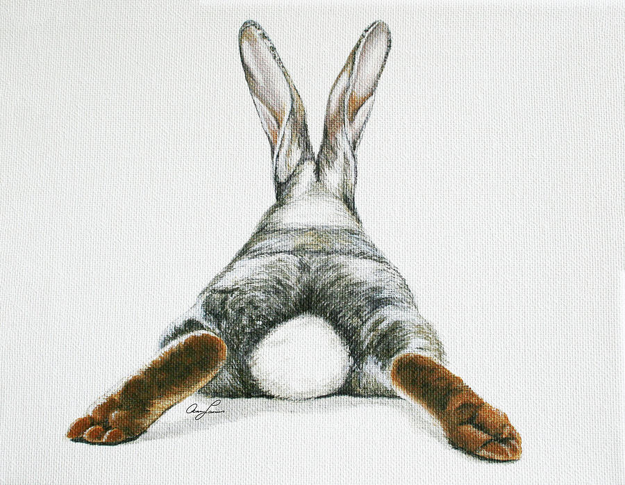 Bunny Butt by Ann Lauwers Bunny Butt by Ann Lauwers