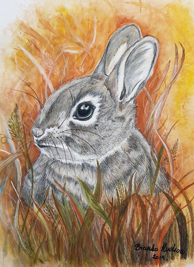Bunny in the grass Drawing by Bianka Hudson