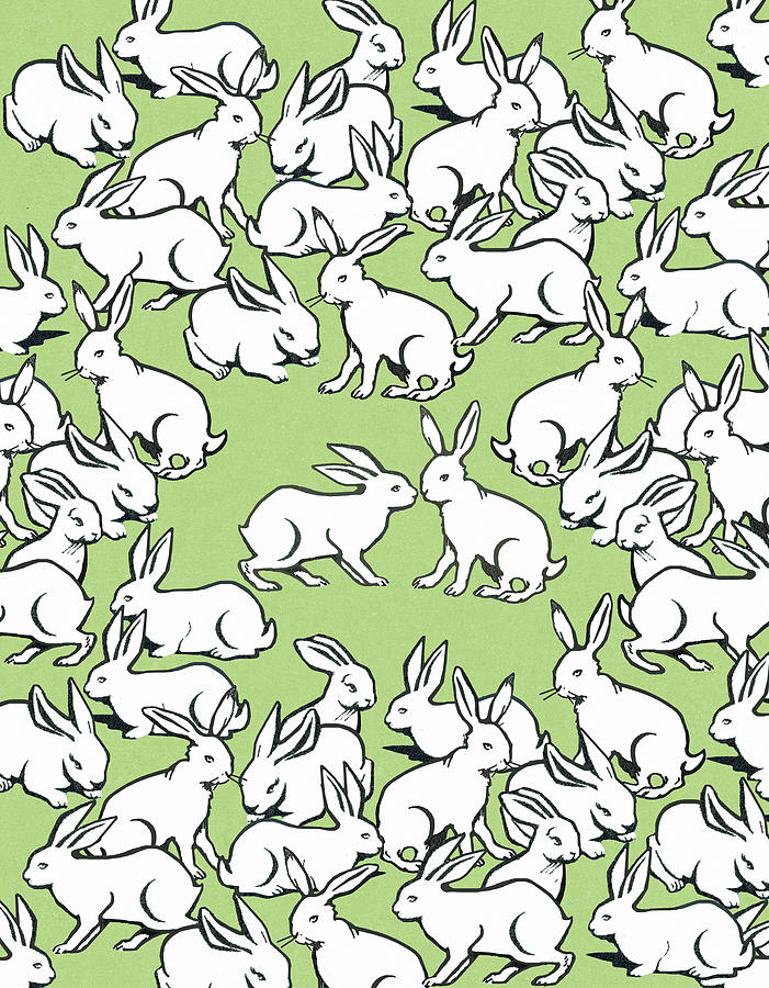 Easter Drawing - Bunny Pattern by CSA Images