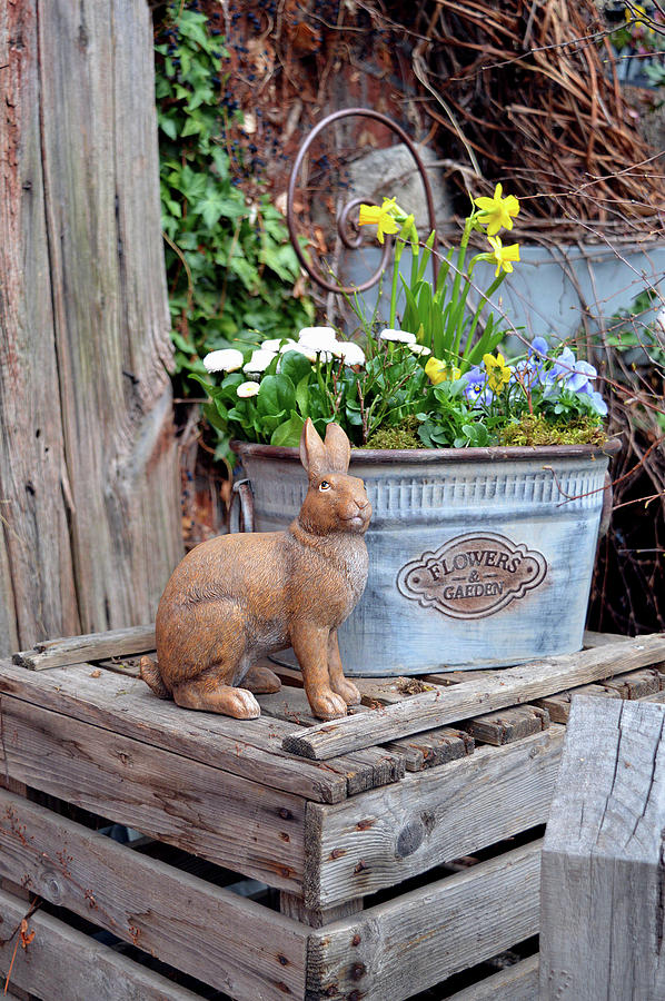 Bunny Statue Next To Bucket Garden Of Daffodils And Violets Photograph by Christin By Hof 9