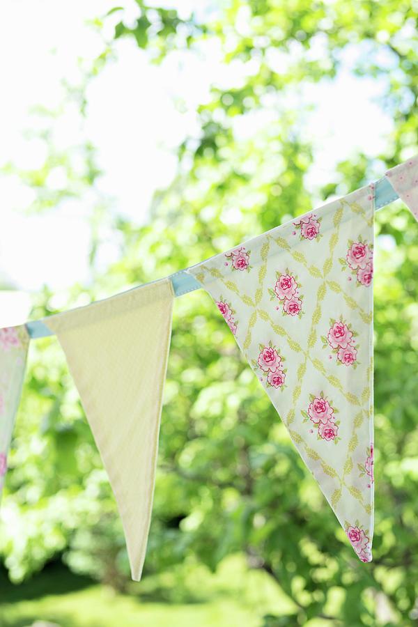 Bunting In Garden Photograph by Cecilia Mller