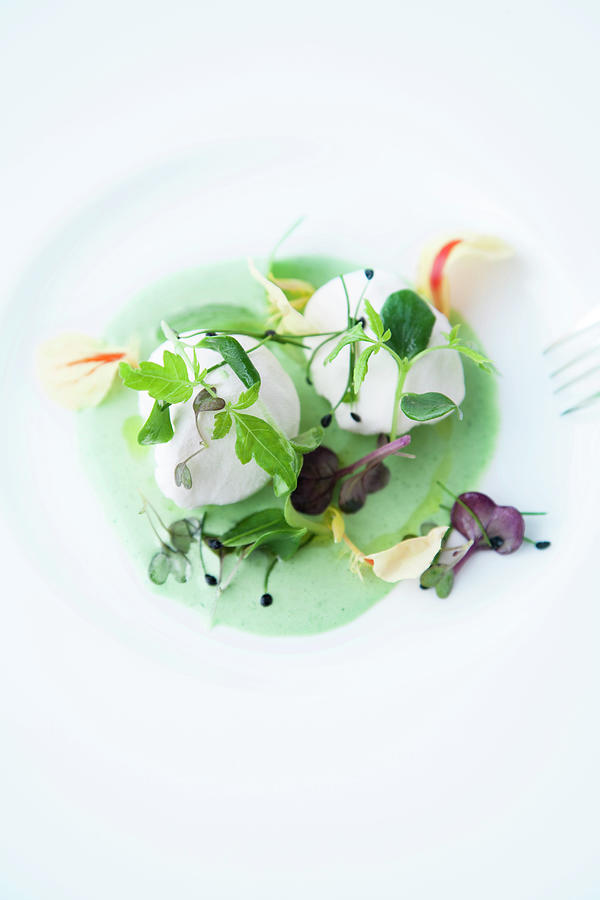 Burgundy White Cheese On Cress Photograph by Michael Wissing