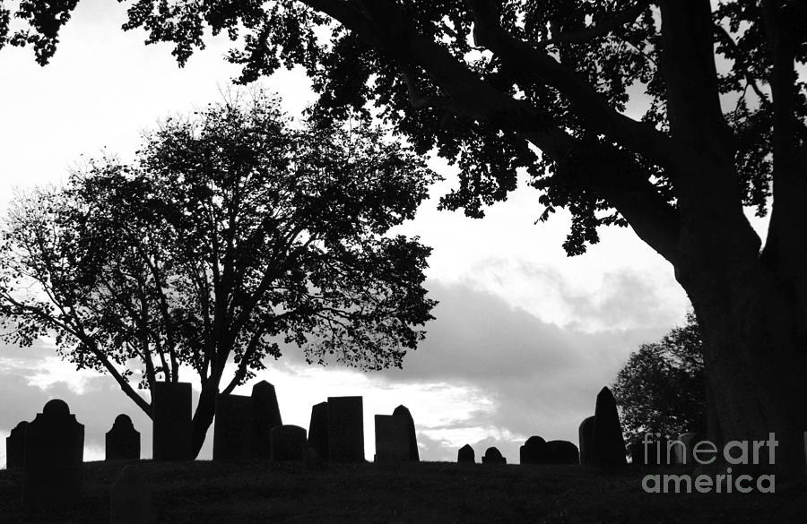 Burial Hill silhouette Photograph by Janice Drew