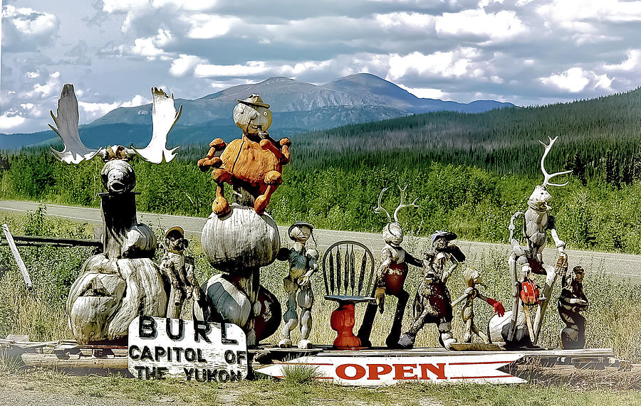 Summer Photograph - Burl For Sale In The Yukon by Bob Lynn
