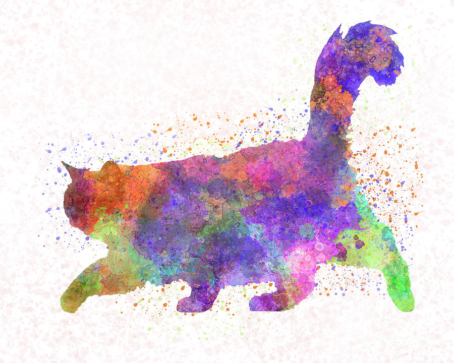 Burma cat in watercolor by Pablo Romero Burma cat in watercolor by Pablo Romero