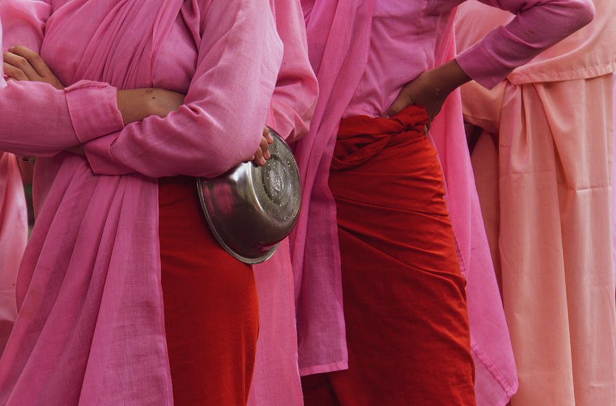Burmese Buddhist nuns lined up Photograph by Ann Moore
