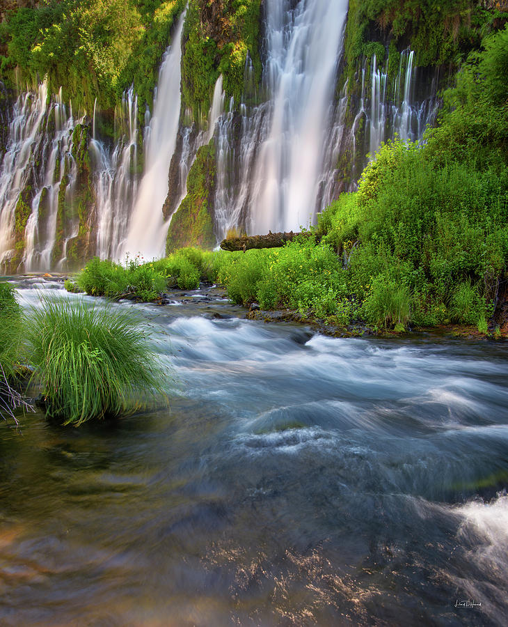 Burney Falls Photograph by Leland D Howard