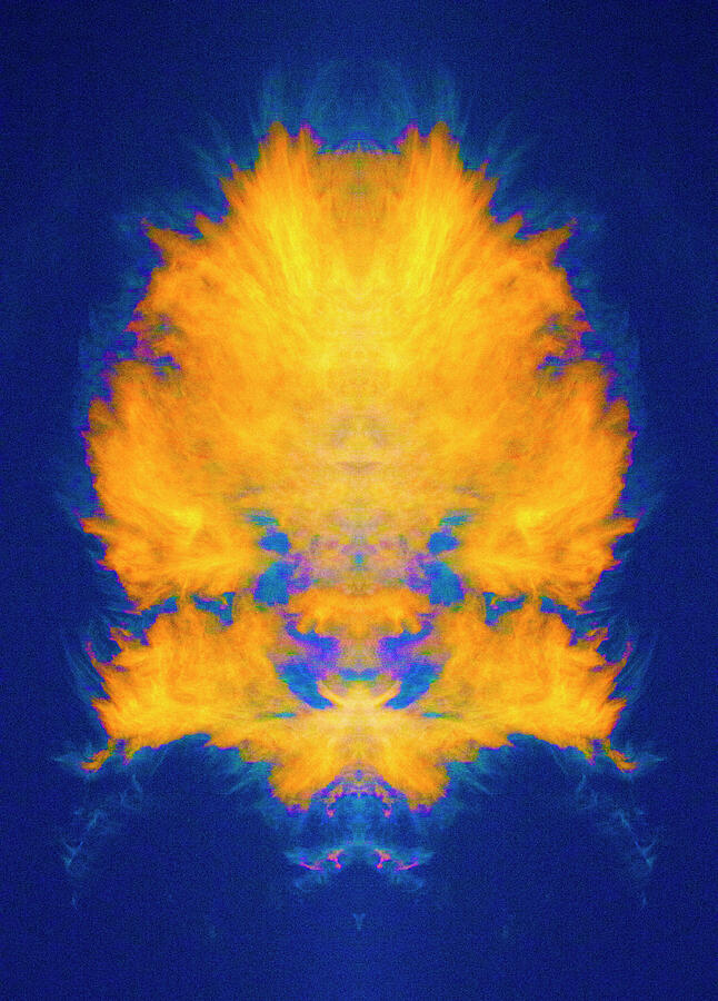 Burning Bush Mandala Photograph by Paul W Faust - Impressions of Light