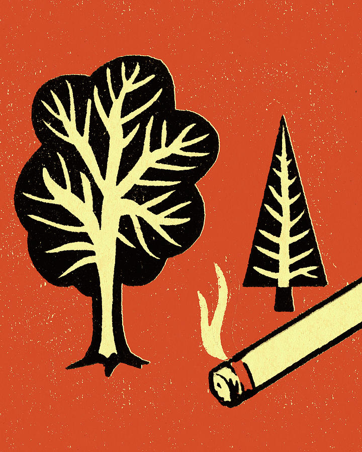 Nature Drawing - Burning Cigarette Near Trees by CSA Images