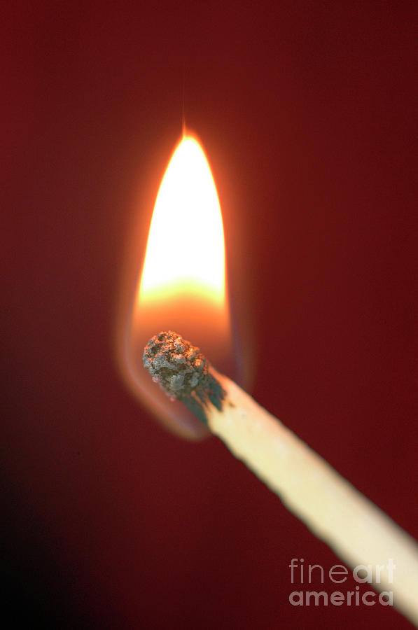 Burning Match Photograph by Daniel Sambraus/science Photo Library