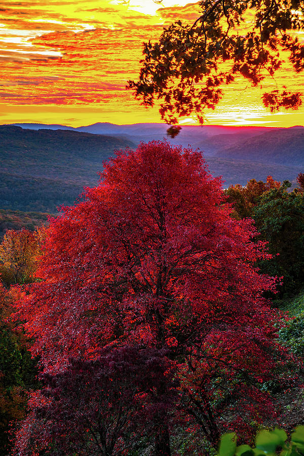 Burning Skies of Autumn At Artist Point - Mountainburg Arkansas Photograph by Gregory Ballos