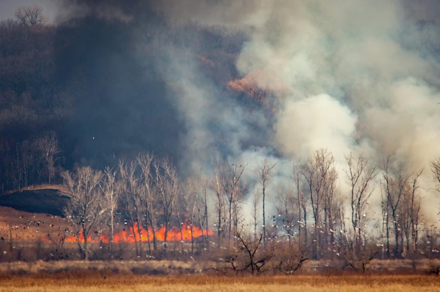 Burning Squaw Creek Photograph by Jeff Phillippi