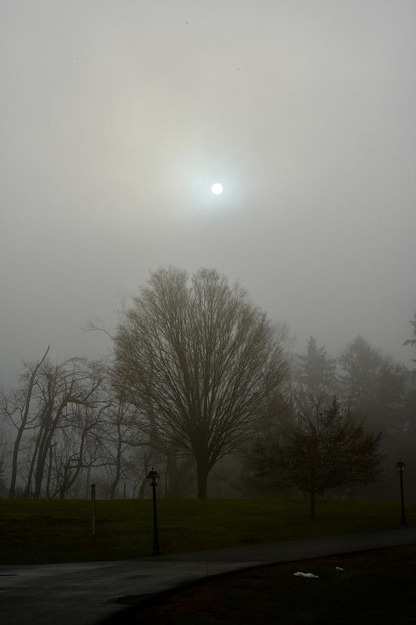 Burning Through The Fog by Cornelia DeDona Burning Through The Fog by Cornelia DeDona