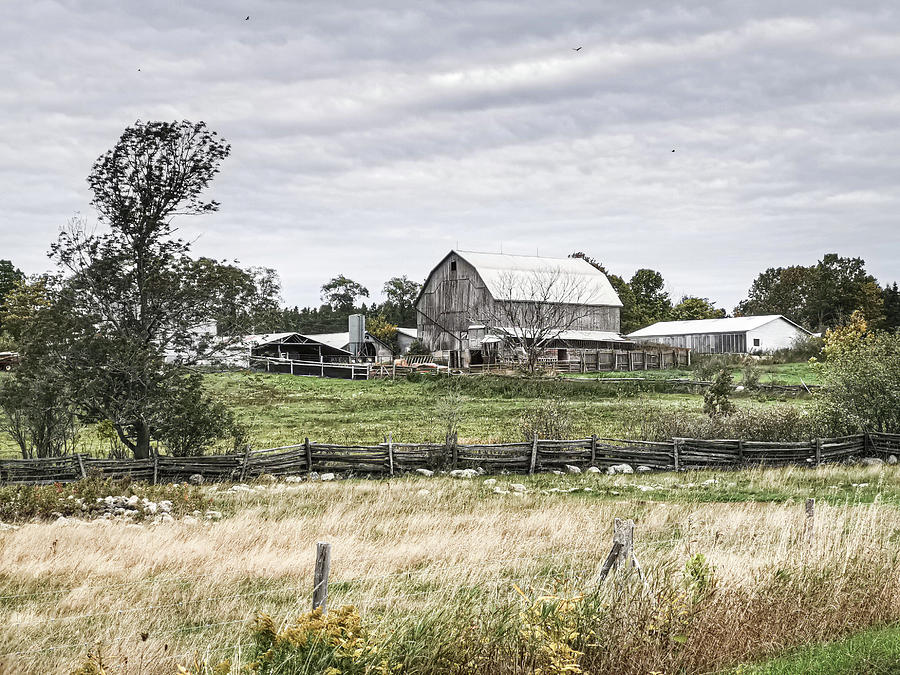 Burns Farm on Manitoulin Photograph by Daniel Martin