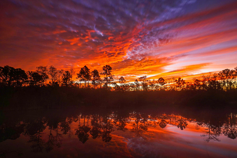 Florida Photograph - Burns Lake Fire Sky by Joey Waves