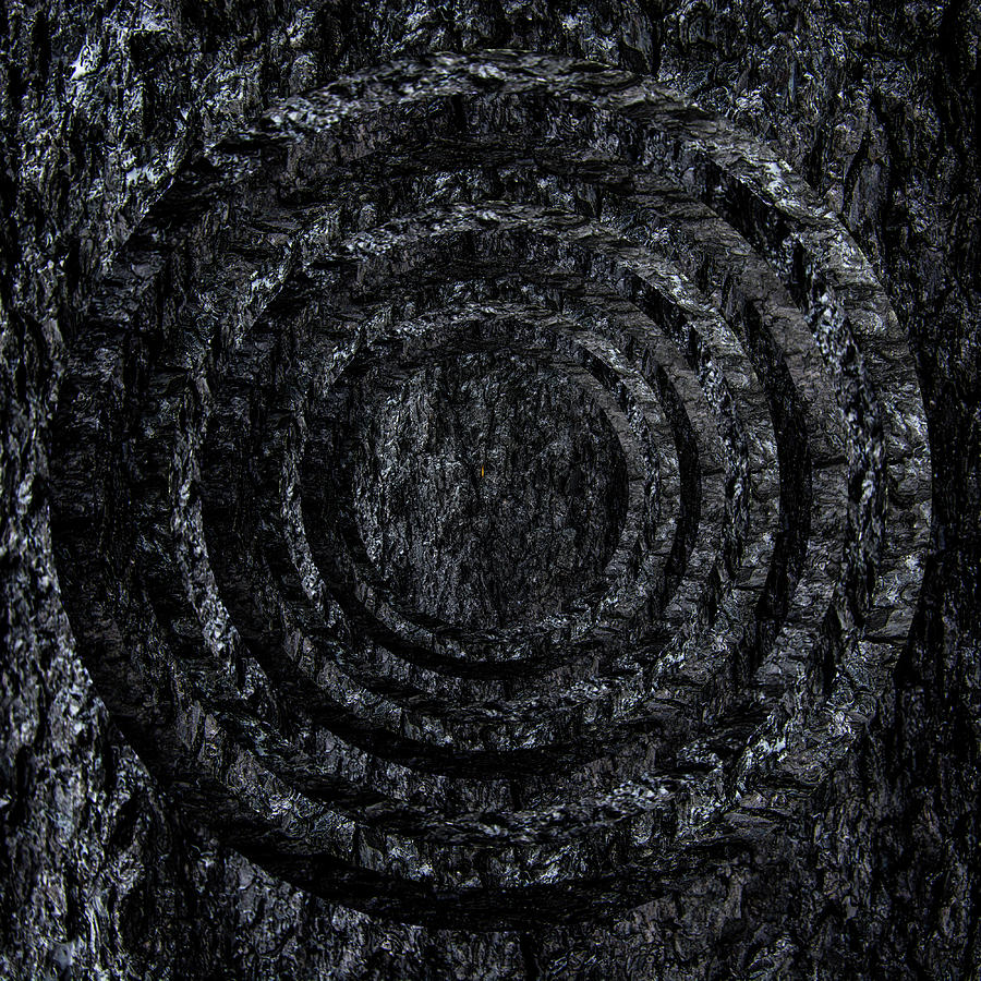 Burnt Bark Circles Digital Art by Pelo Blanco Photo